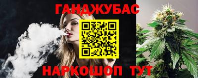 индика Абакан